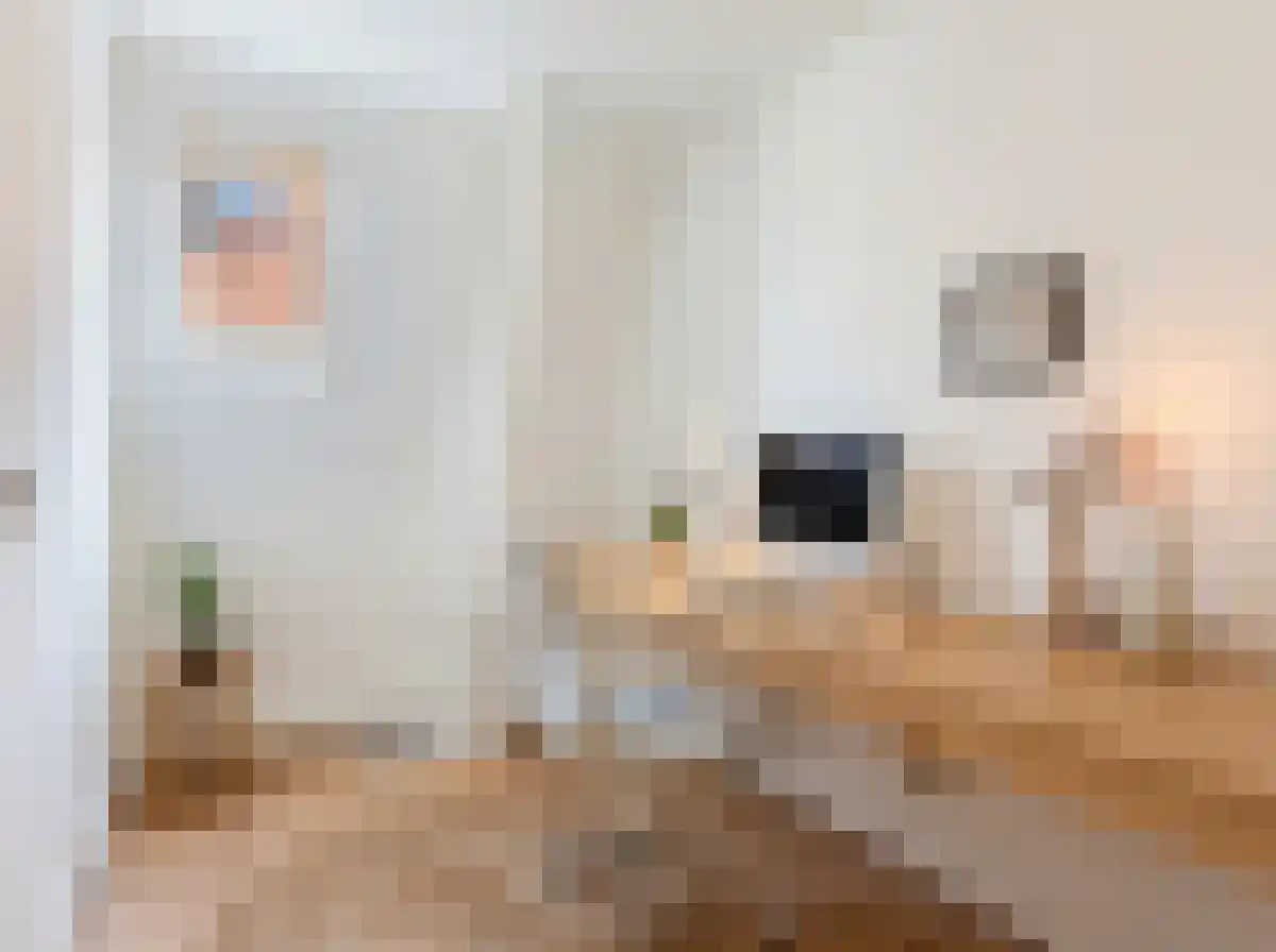 Roeklaan 3 Eindhoven thumbnail 21