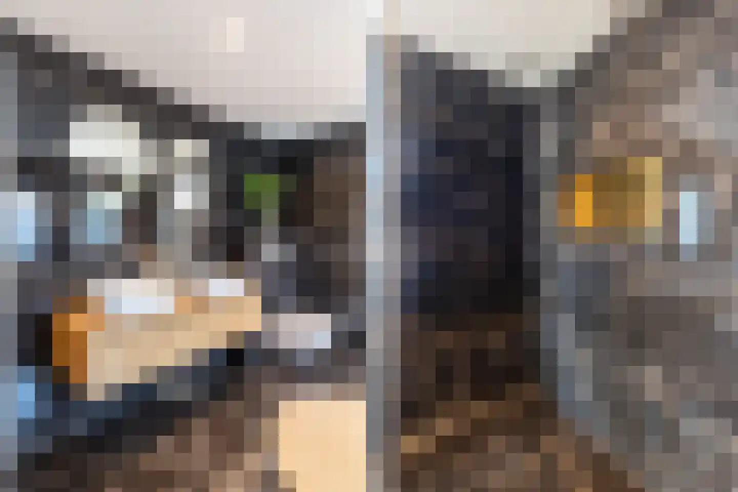 Roeklaan 3 Eindhoven thumbnail 23