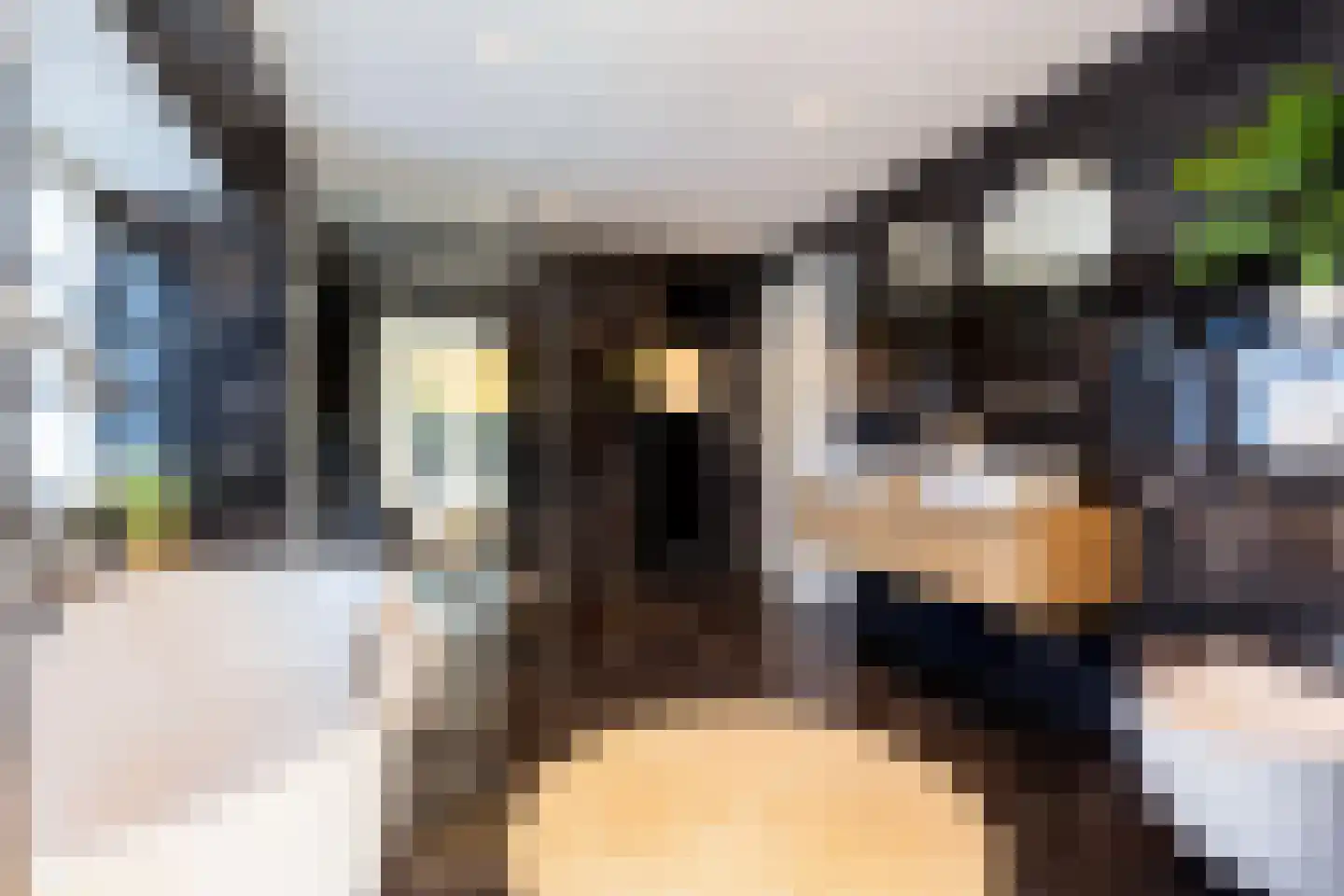 Roeklaan 3 Eindhoven thumbnail 24