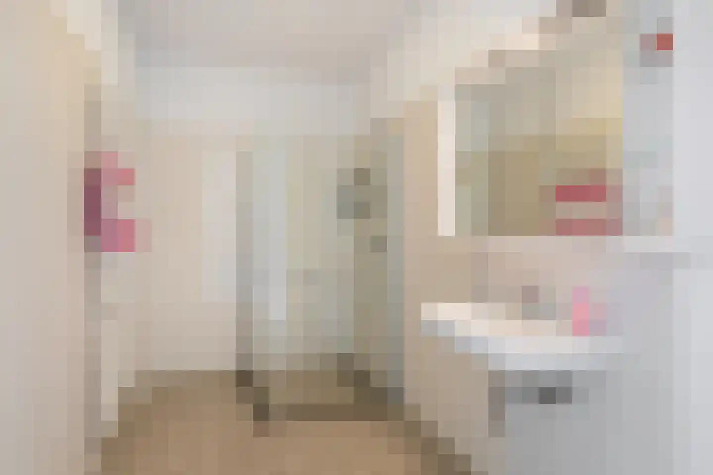 Roekstraat 119 Capelle aan den IJssel thumbnail 19