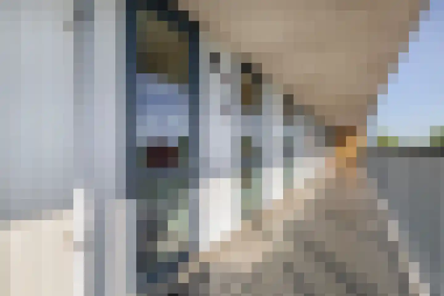 Roekstraat 119 Capelle aan den IJssel thumbnail 22