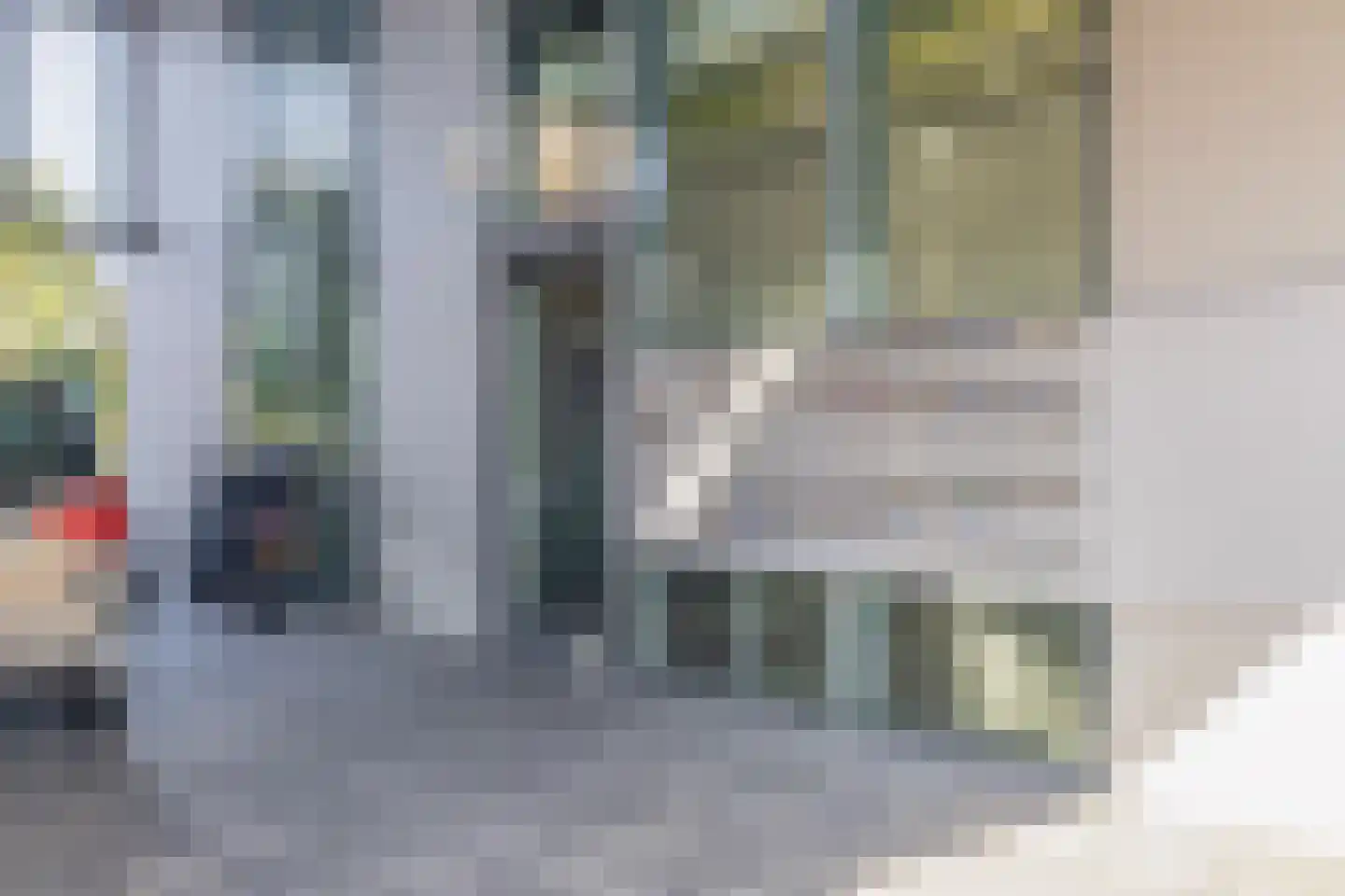 Roekstraat 119 Capelle aan den IJssel thumbnail 25