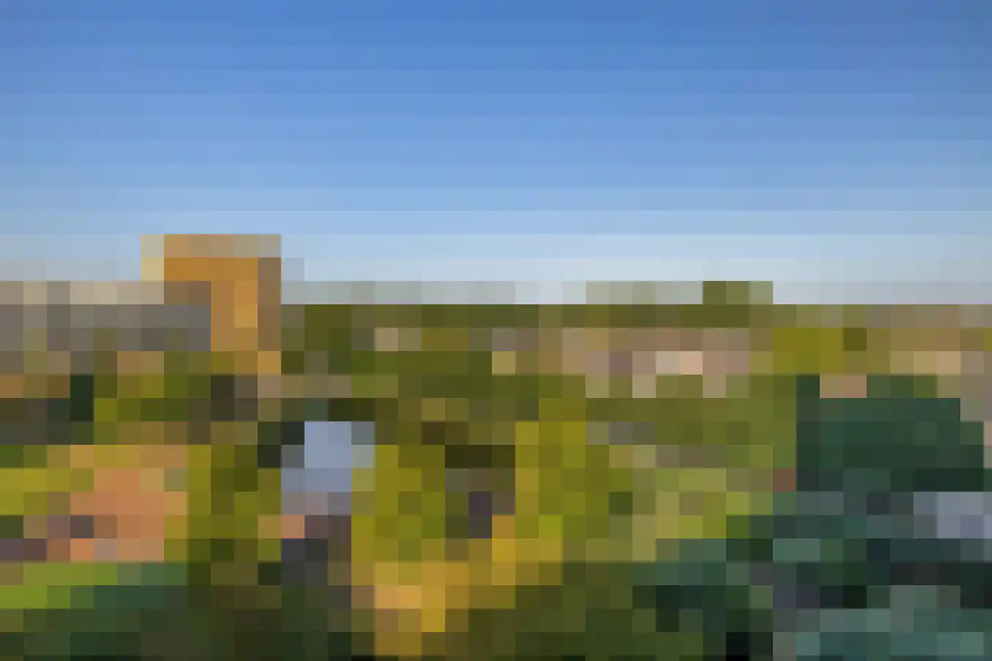 Roekstraat 119 Capelle aan den IJssel thumbnail 4
