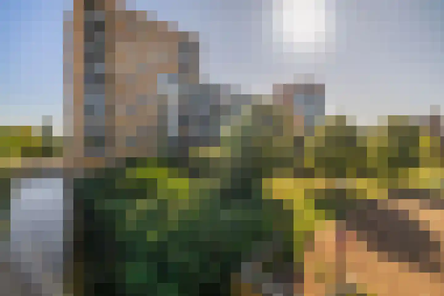 Roekstraat 119 Capelle aan den IJssel thumbnail 5