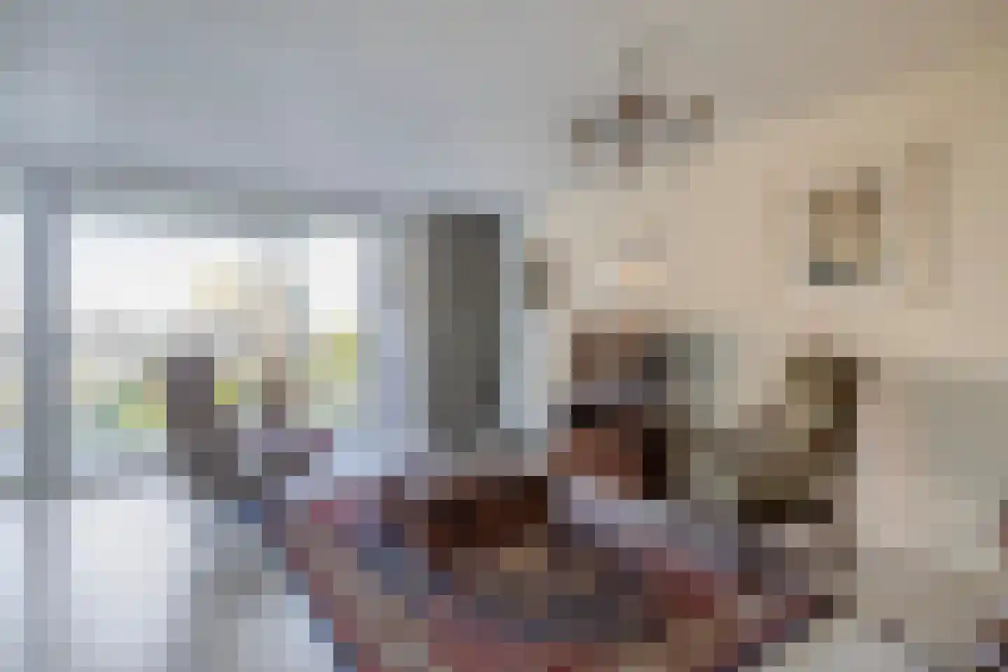 Roekstraat 119 Capelle aan den IJssel thumbnail 6
