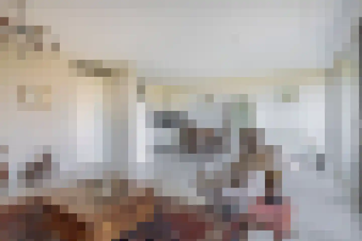 Roekstraat 119 Capelle aan den IJssel thumbnail 7
