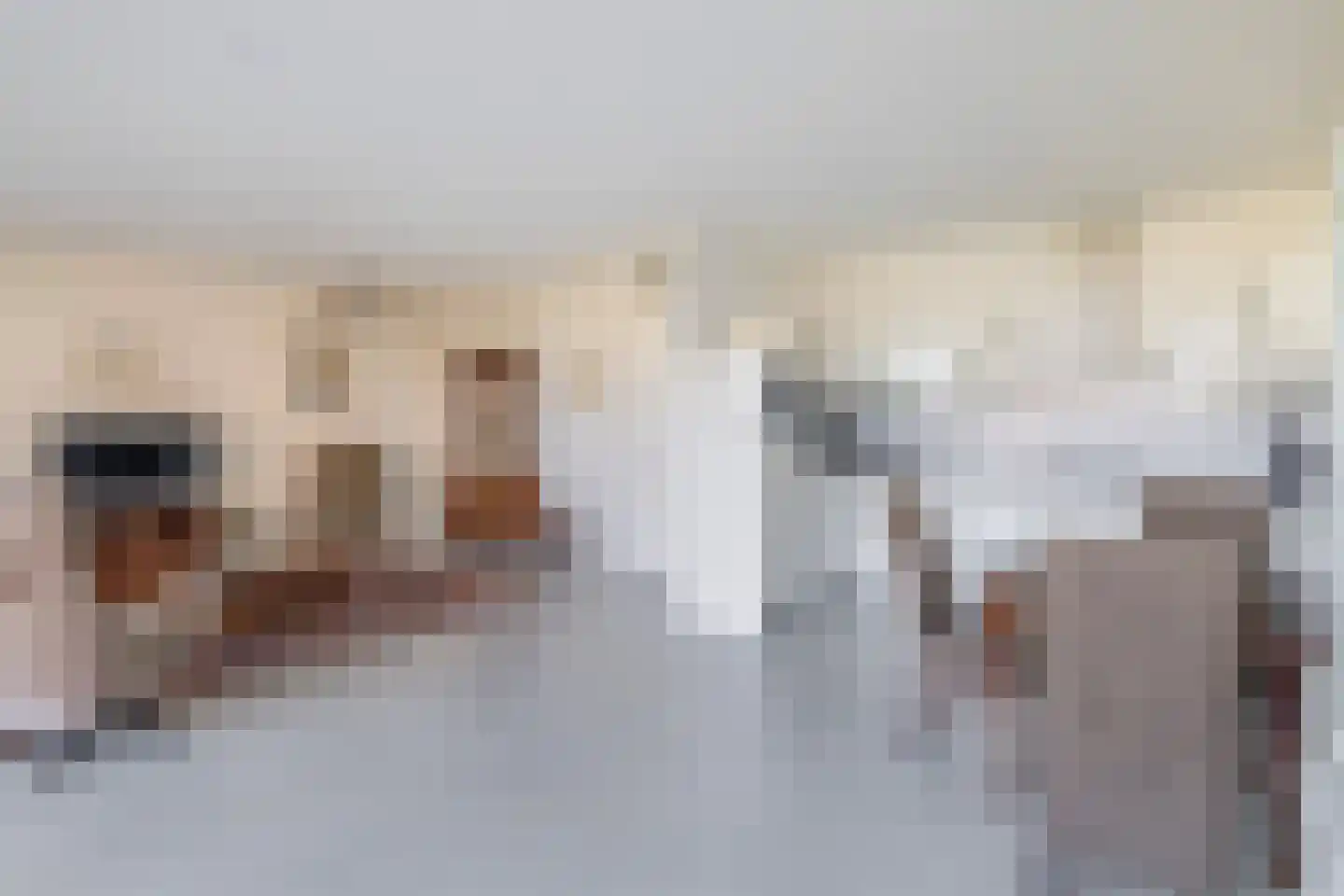 Roekstraat 119 Capelle aan den IJssel thumbnail 8