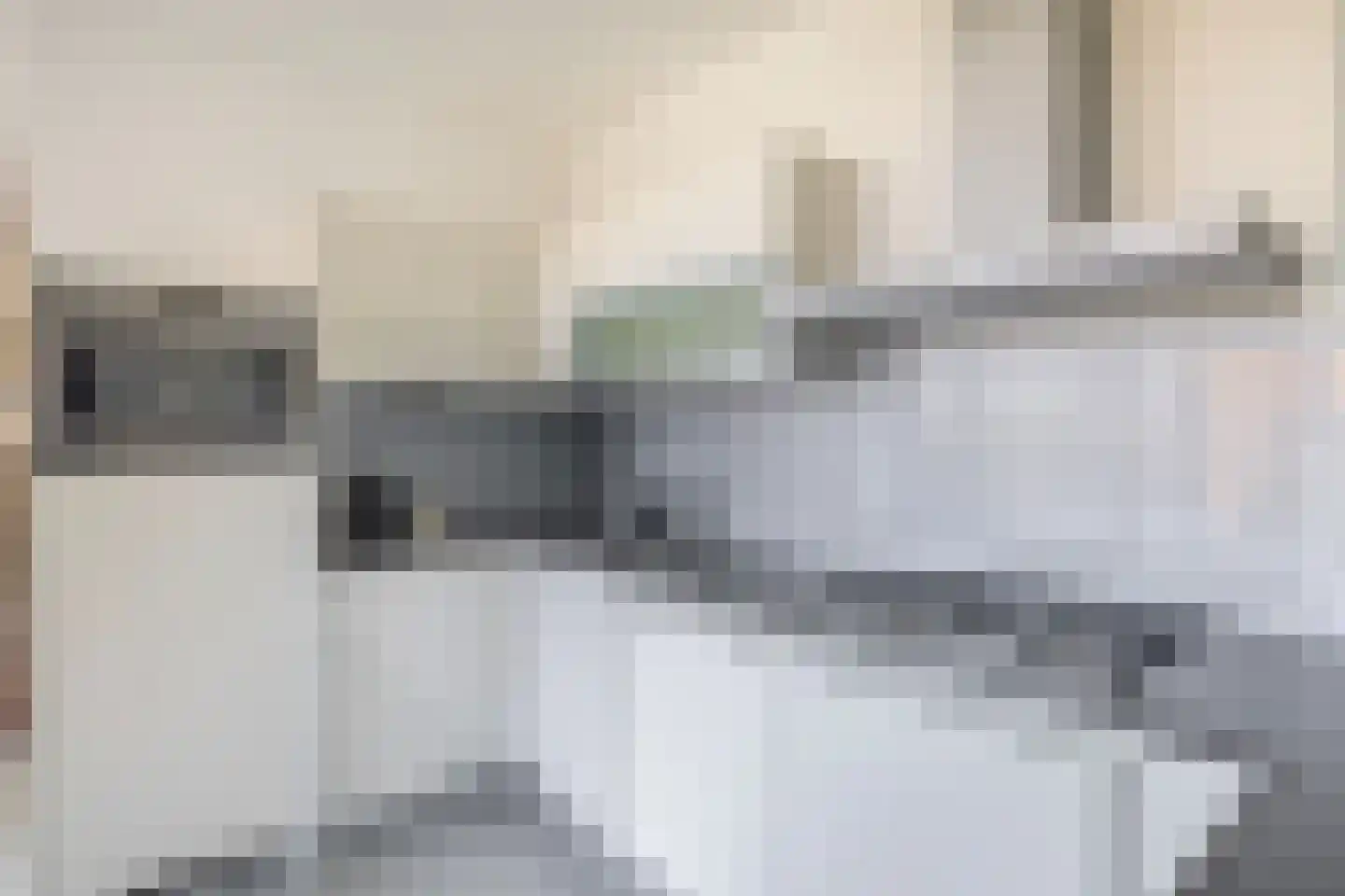 Roekstraat 119 Capelle aan den IJssel thumbnail 9