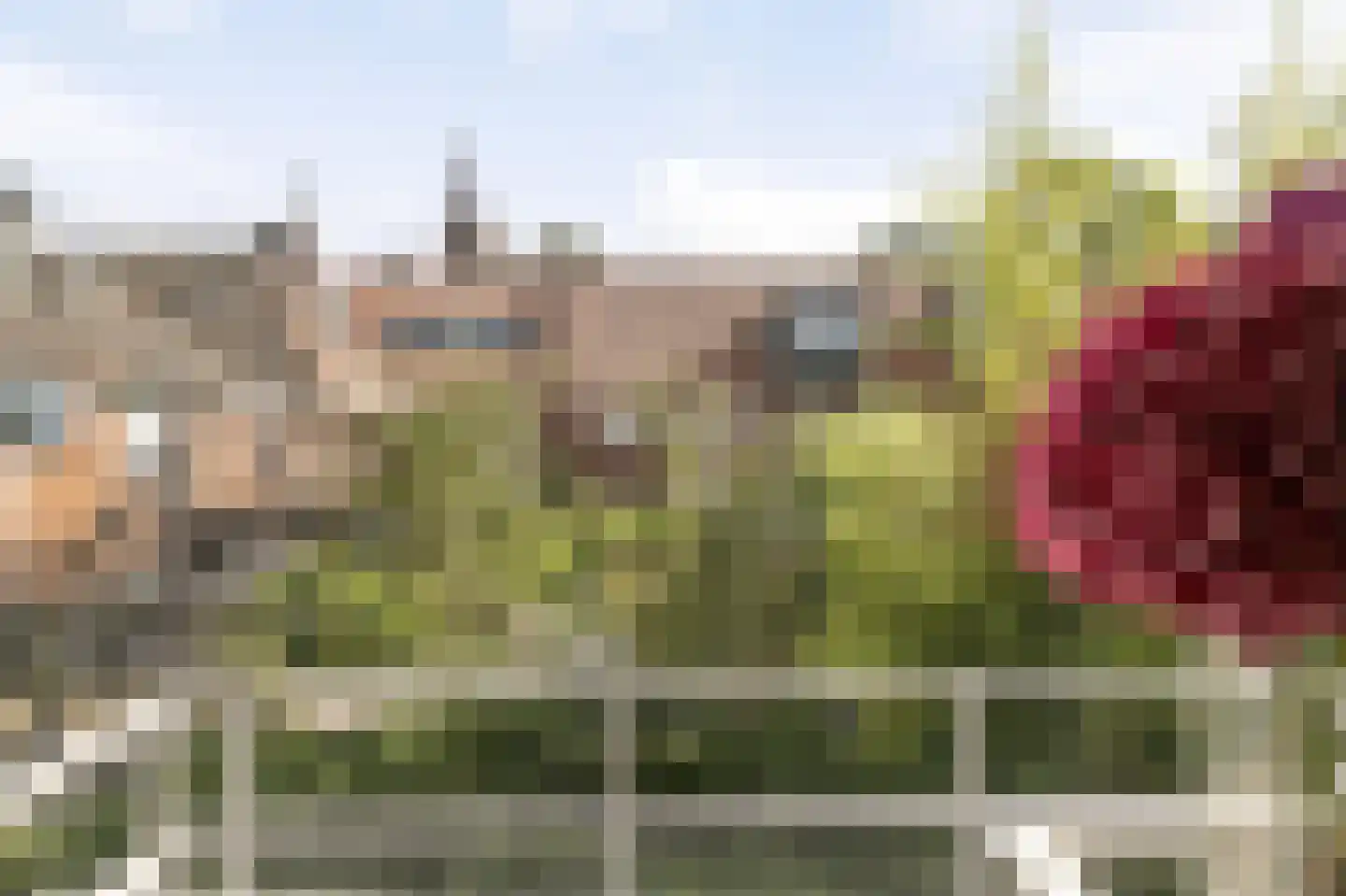 Roekstraat 31 Leeuwarden thumbnail 24