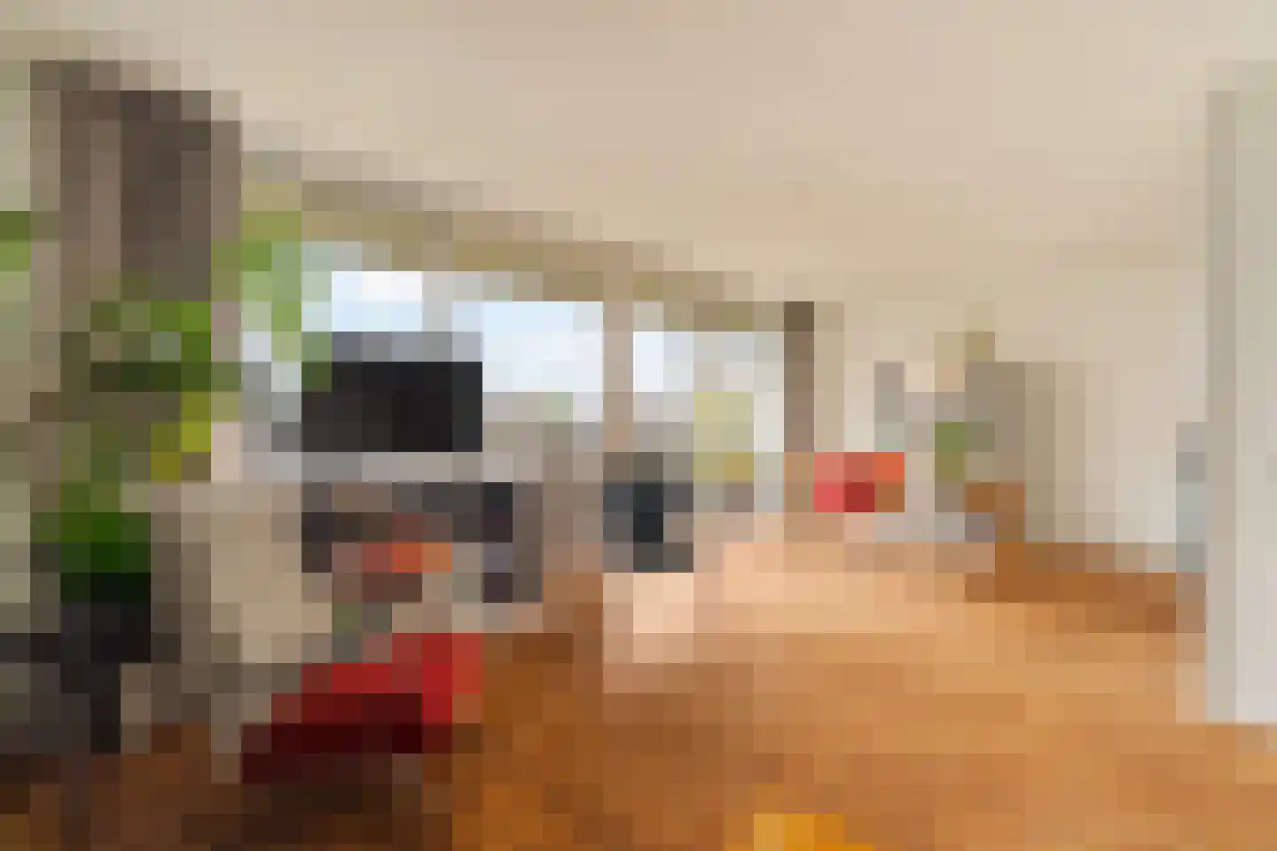 Roekstraat 85 Capelle aan den IJssel thumbnail 12