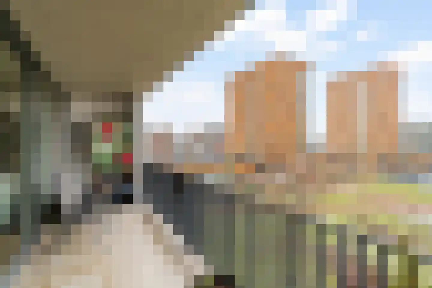 Roekstraat 85 Capelle aan den IJssel thumbnail 21
