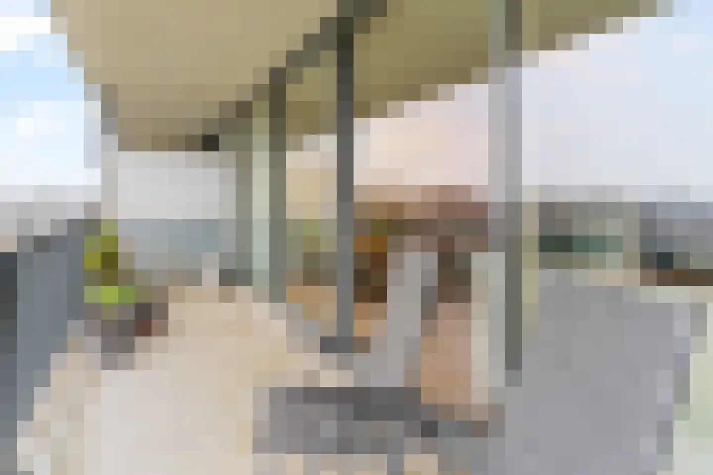 Roekstraat 85 Capelle aan den IJssel thumbnail 22