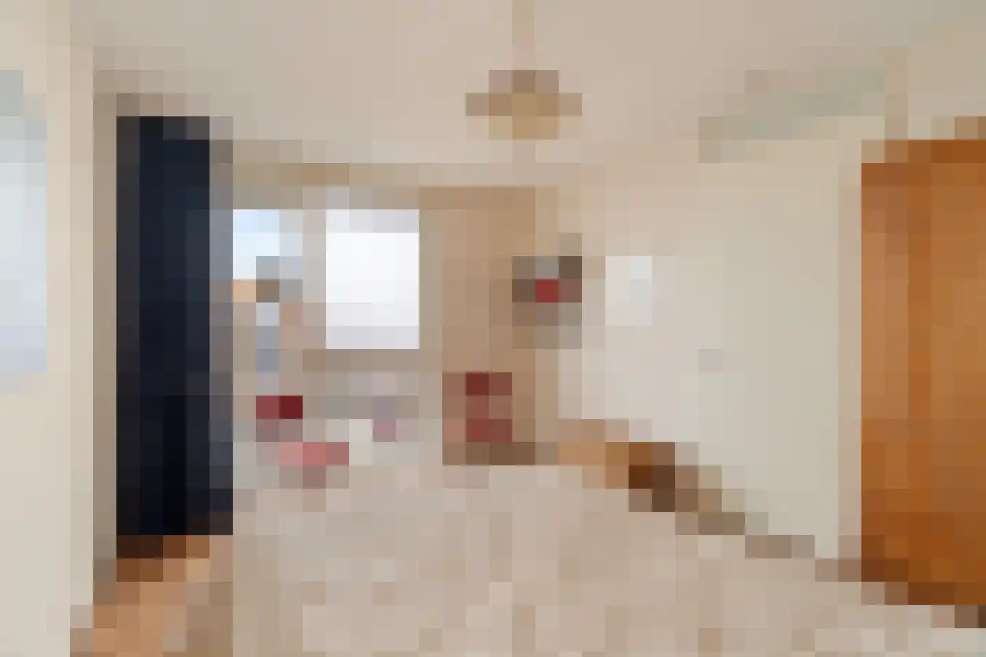Roekstraat 85 Capelle aan den IJssel thumbnail 28