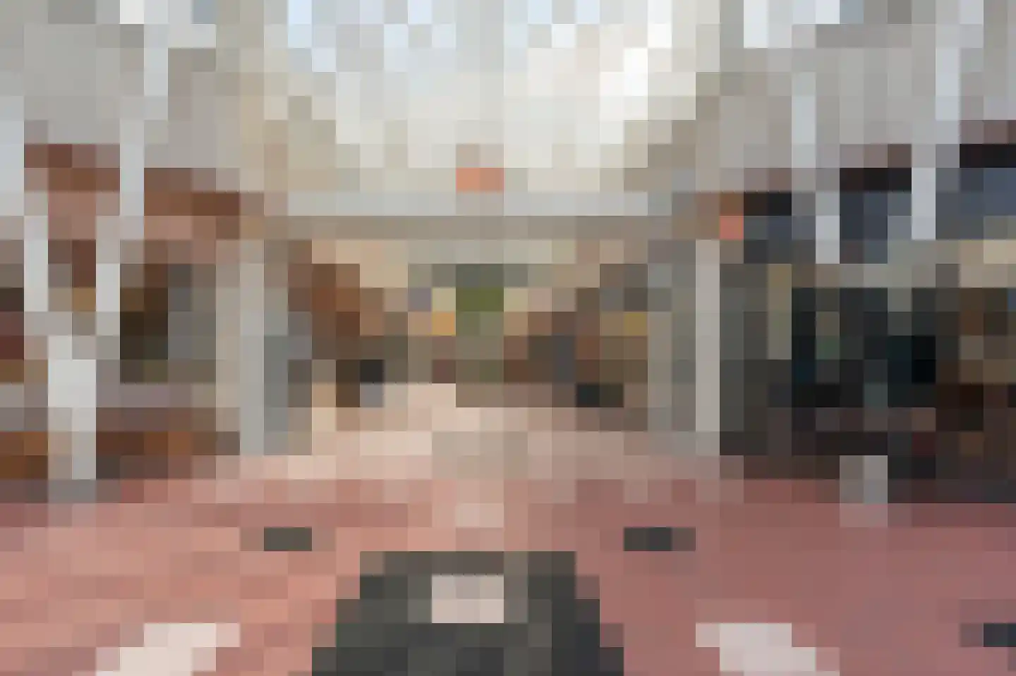 Roekstraat 85 Capelle aan den IJssel thumbnail 40