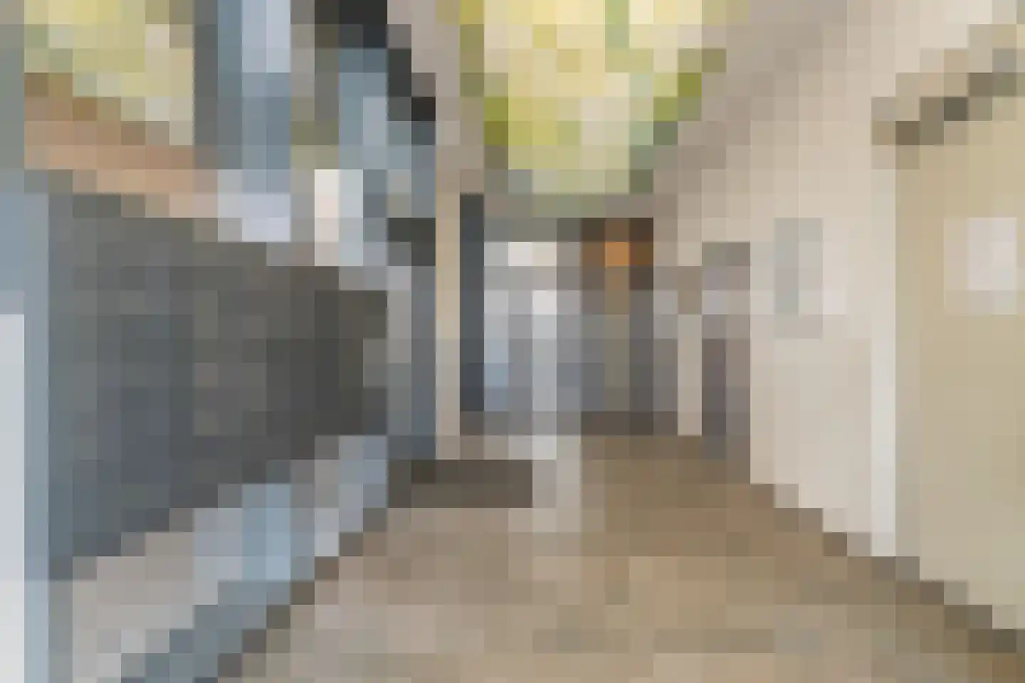 Roekstraat 85 Capelle aan den IJssel thumbnail 7