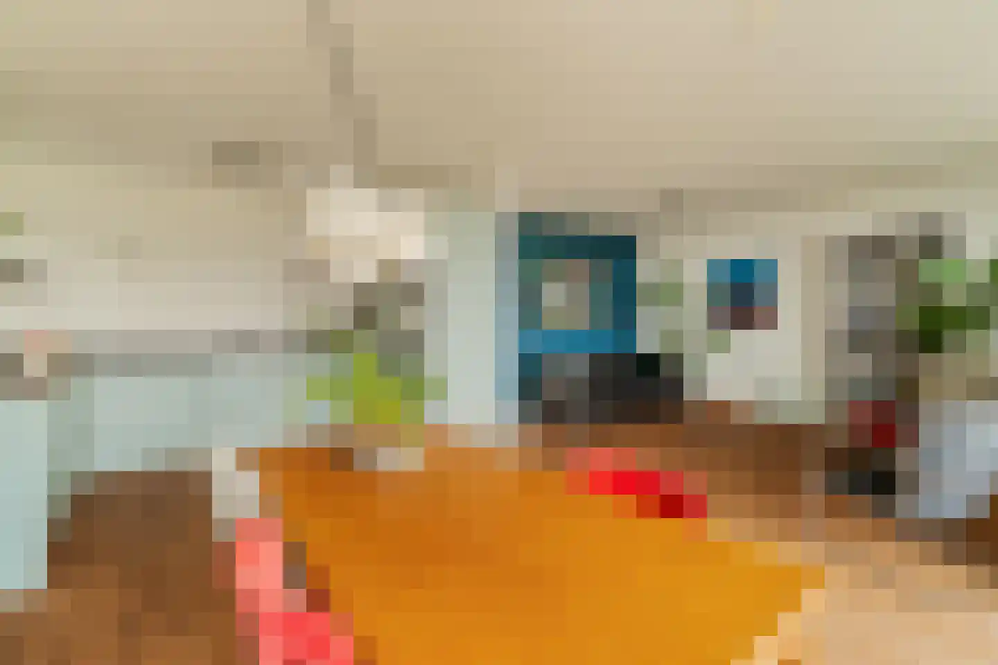 Roekstraat 85 Capelle aan den IJssel thumbnail 9