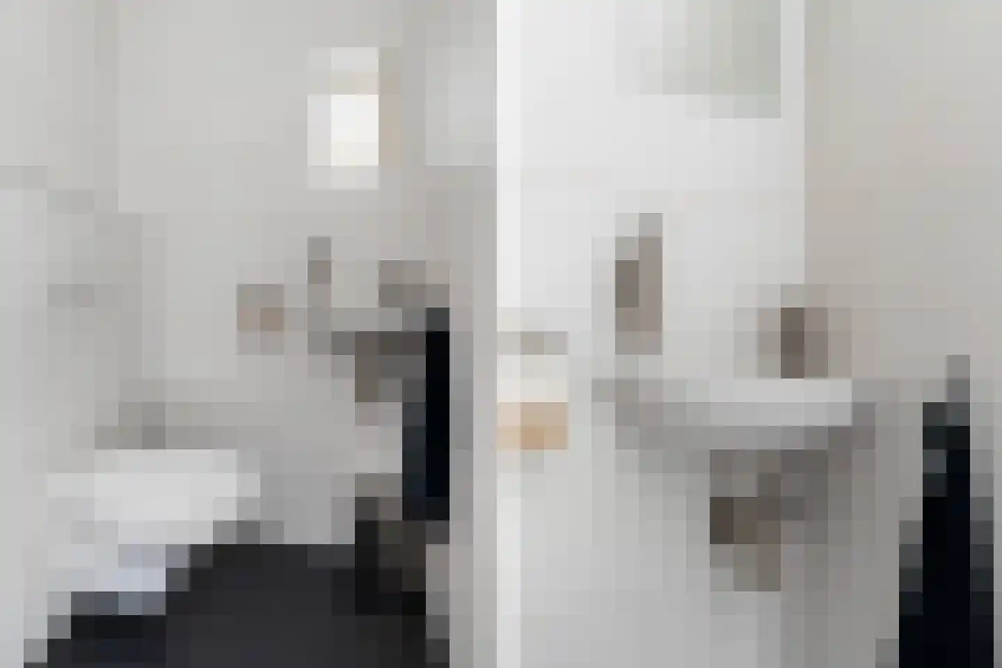Roekstraat 93 Capelle aan den IJssel thumbnail 11
