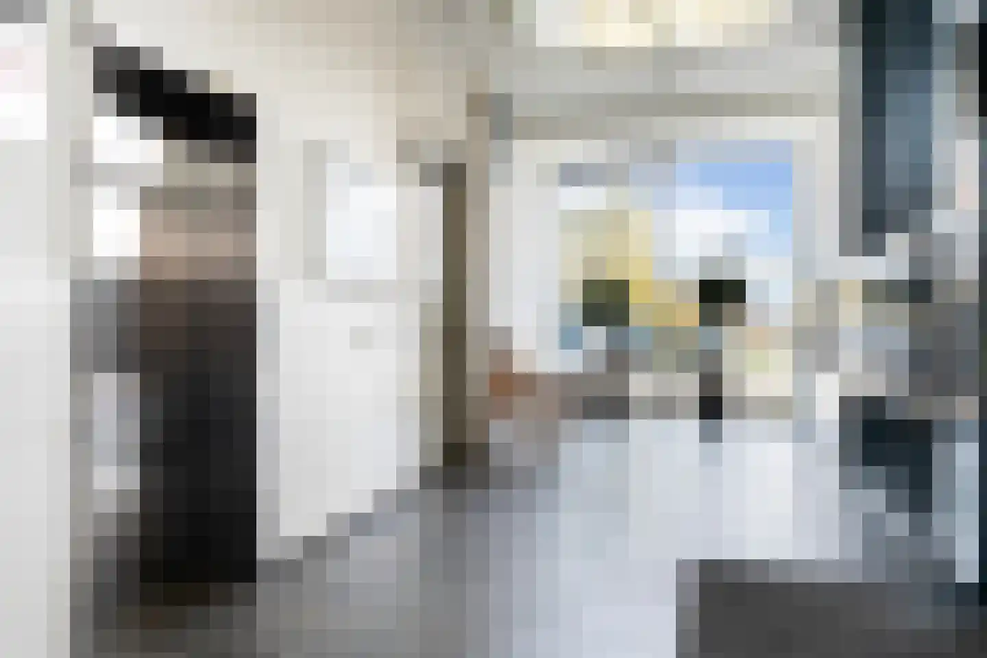 Roekstraat 93 Capelle aan den IJssel thumbnail 41