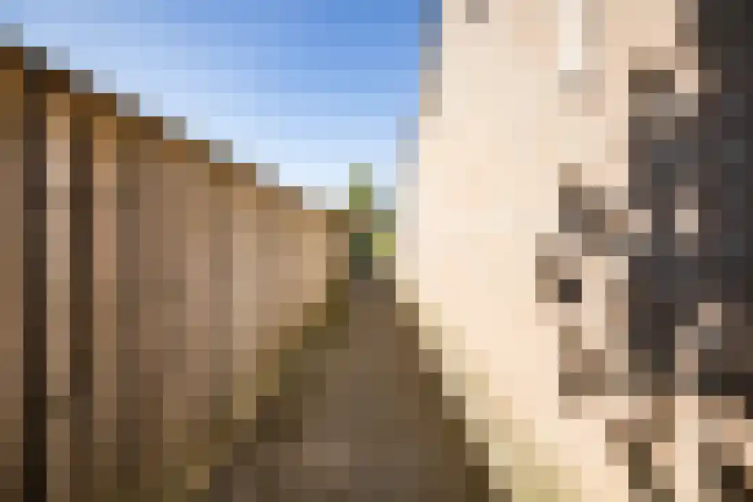 Roelandshof 14 Breda thumbnail 16