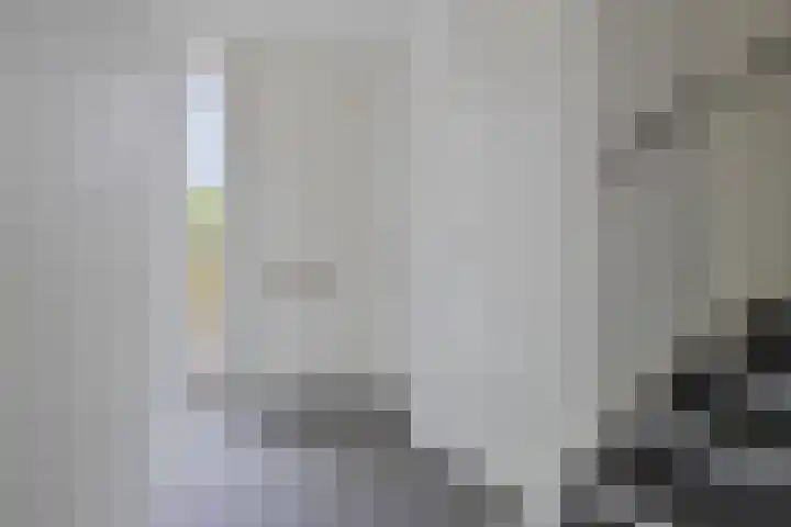 Roelandshof 14 Breda thumbnail 4
