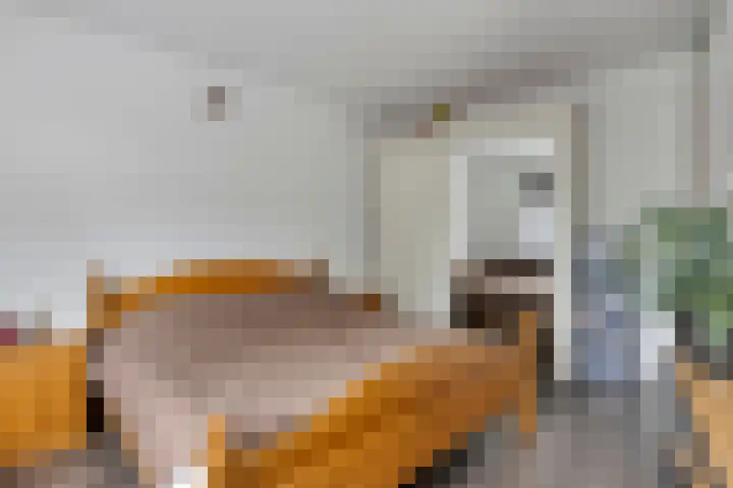 Roelandshof 15 Breda thumbnail 14