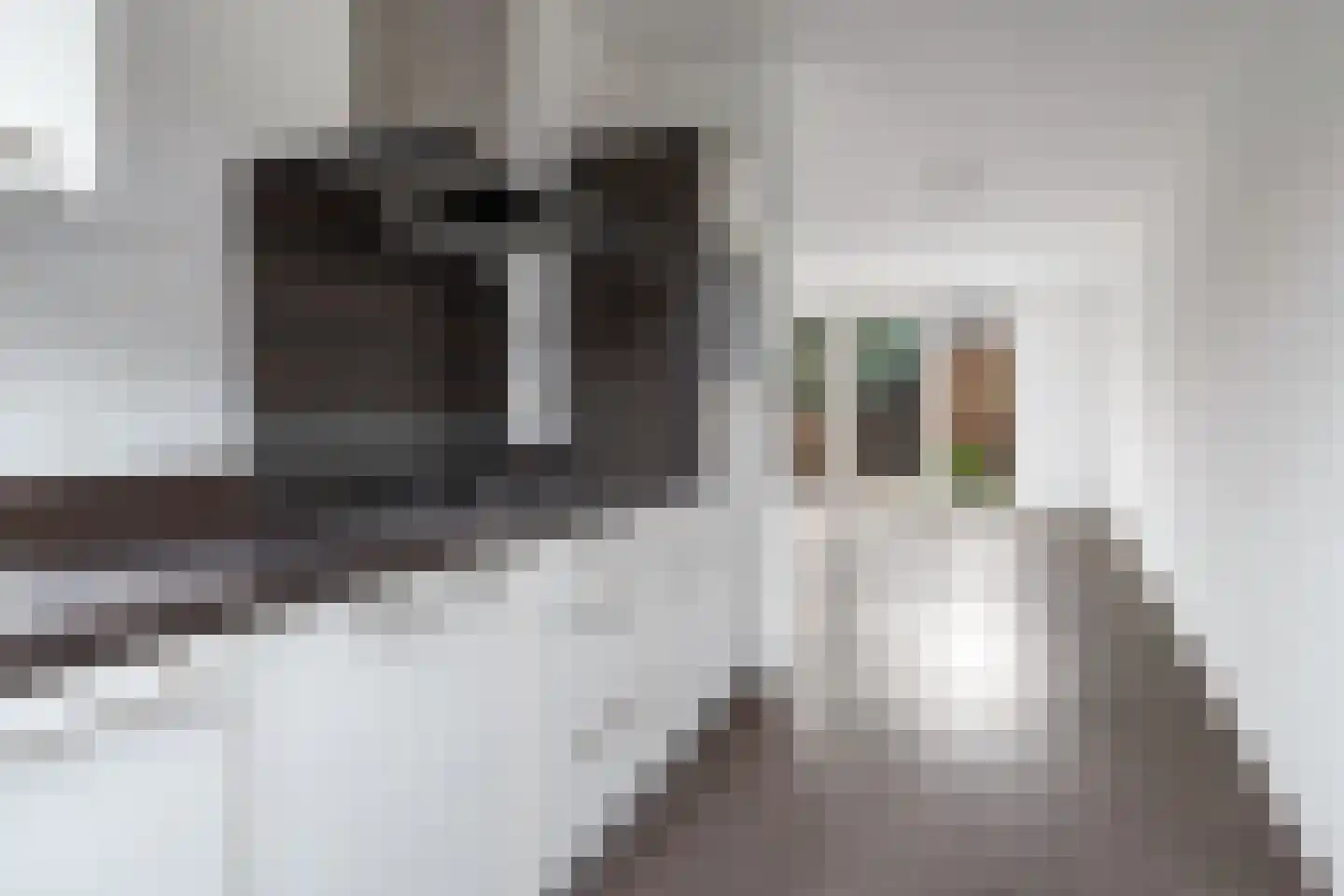 Roelandshof 15 Breda thumbnail 17