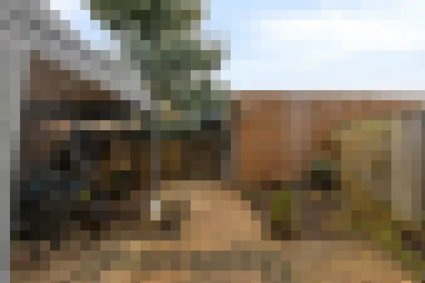 Roelandshof 15 Breda thumbnail 22