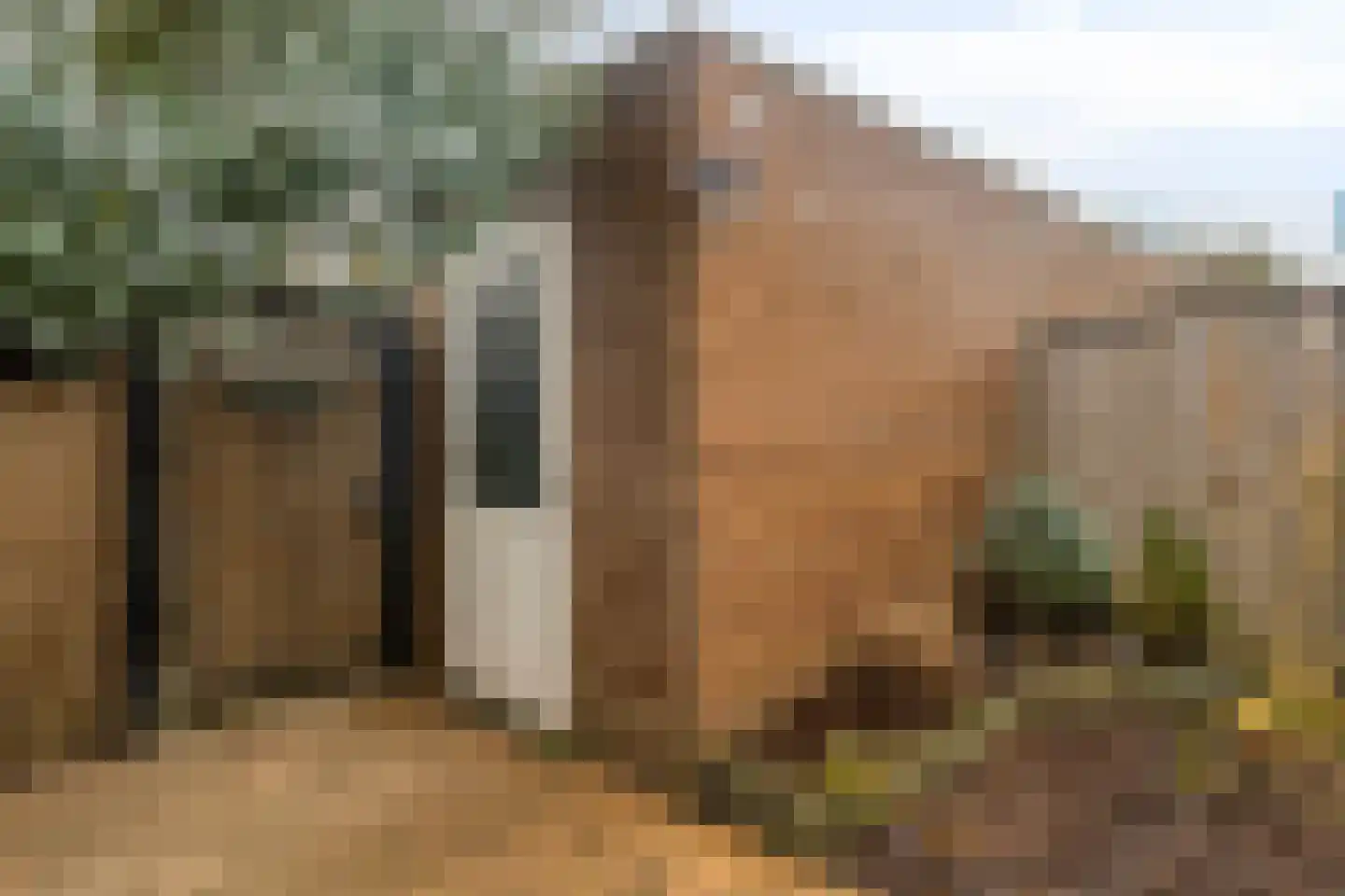 Roelandshof 15 Breda thumbnail 25