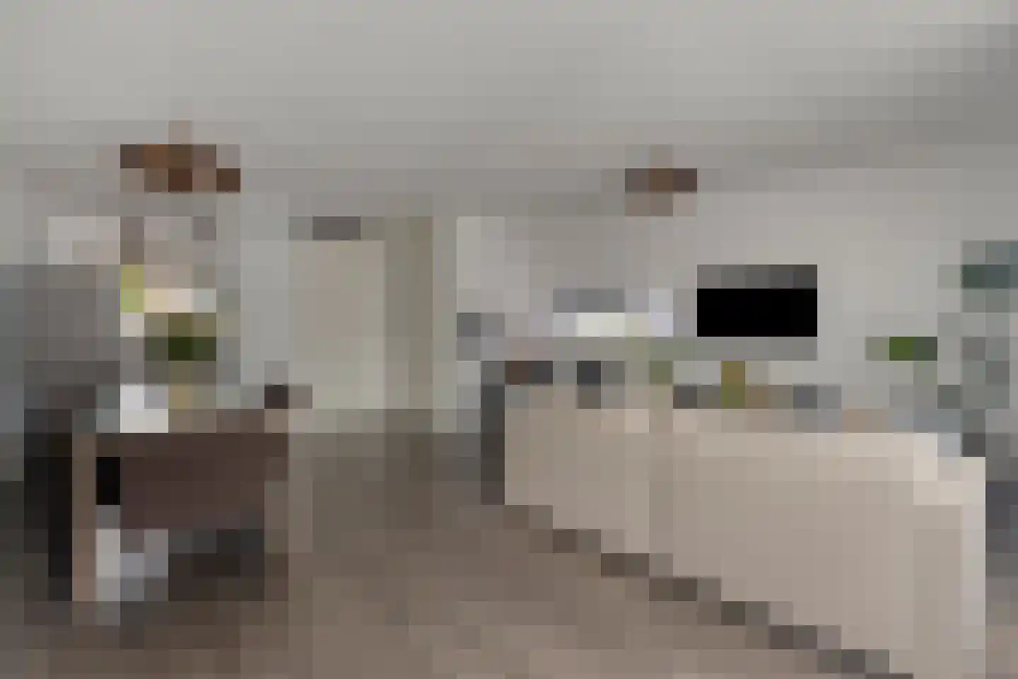 Roelandshof 15 Breda thumbnail 8