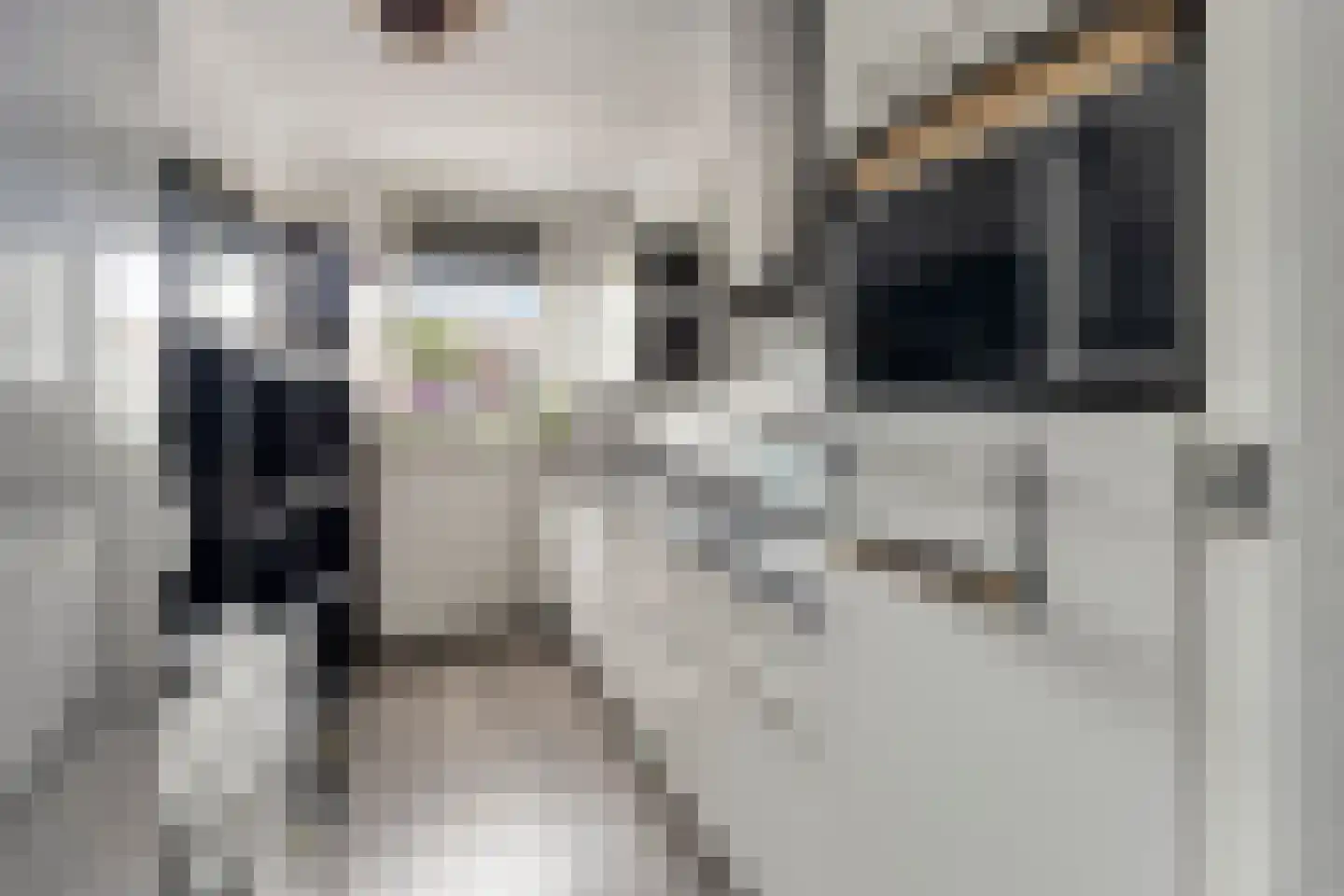 Roelandshof 15 Breda thumbnail 9