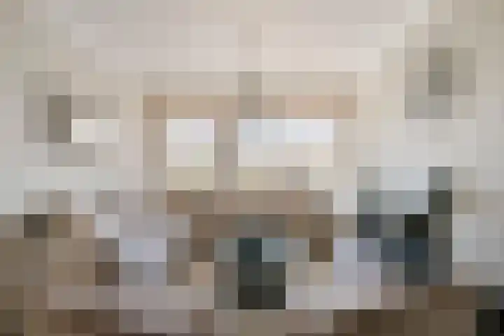 Roelantlaan 14 Eindhoven thumbnail 10