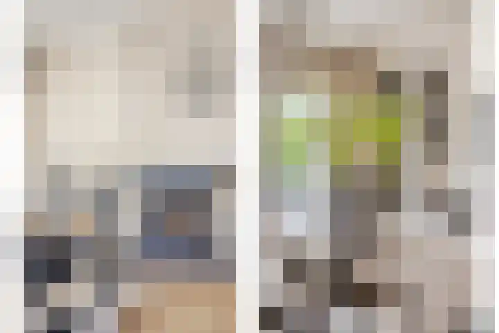 Roelantlaan 14 Eindhoven thumbnail 11