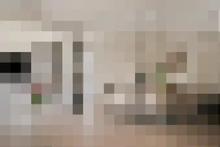 Roelantlaan 14 Eindhoven thumbnail 13