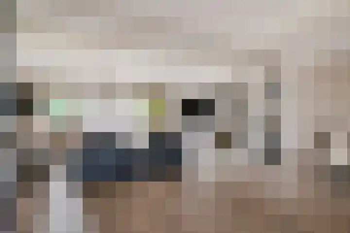 Roelantlaan 14 Eindhoven thumbnail 14