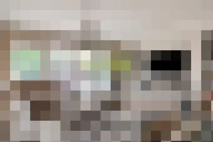 Roelantlaan 14 Eindhoven thumbnail 15