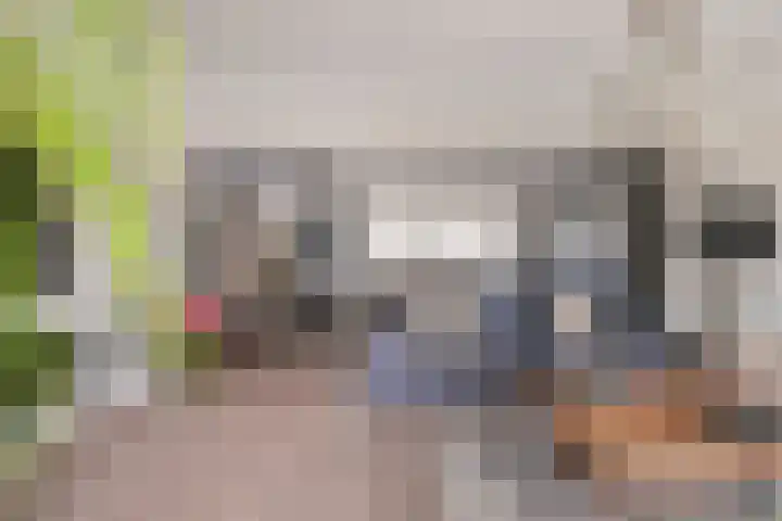 Roelantlaan 14 Eindhoven thumbnail 16