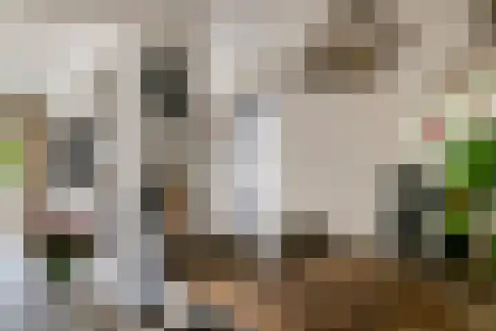 Roelantlaan 14 Eindhoven thumbnail 17