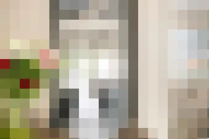 Roelantlaan 14 Eindhoven thumbnail 19