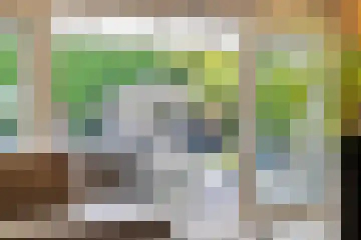 Roelantlaan 14 Eindhoven thumbnail 22