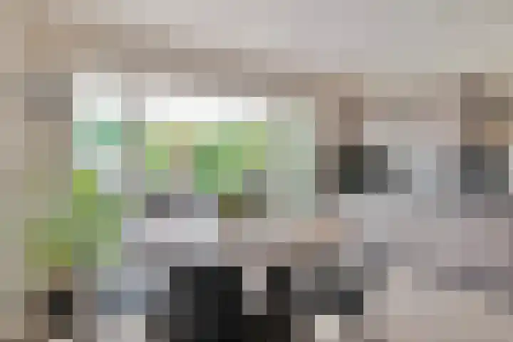 Roelantlaan 14 Eindhoven thumbnail 23