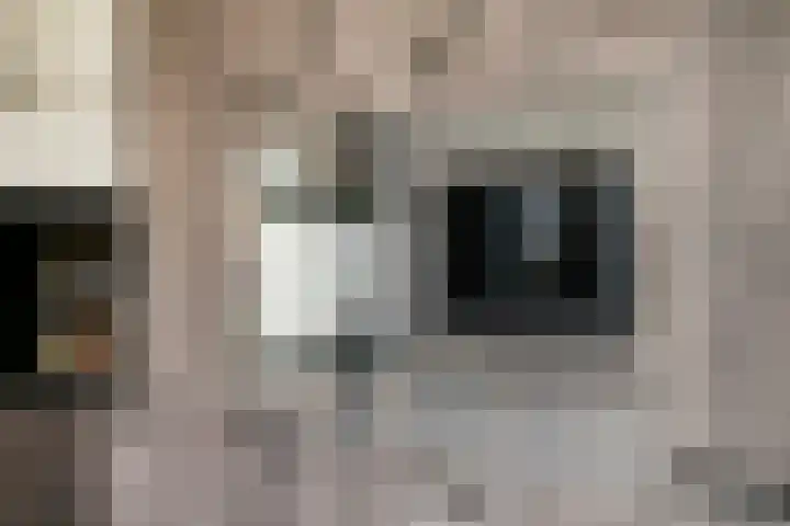Roelantlaan 14 Eindhoven thumbnail 26