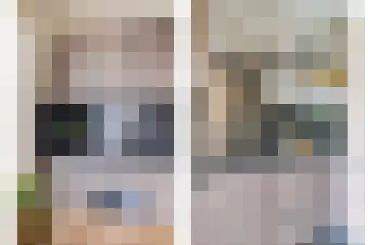 Roelantlaan 14 Eindhoven thumbnail 27