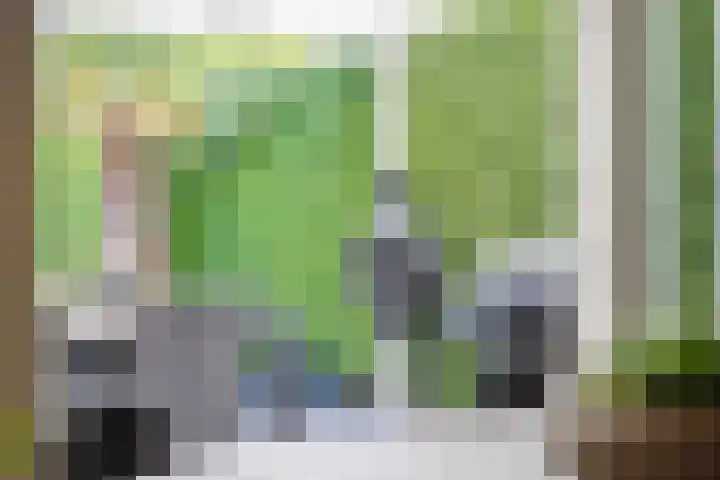 Roelantlaan 14 Eindhoven thumbnail 28