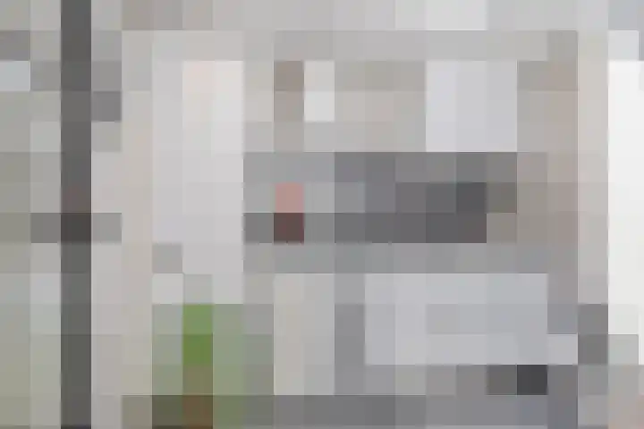 Roelantlaan 14 Eindhoven thumbnail 29