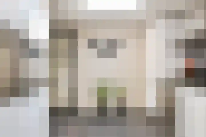 Roelantlaan 14 Eindhoven thumbnail 30