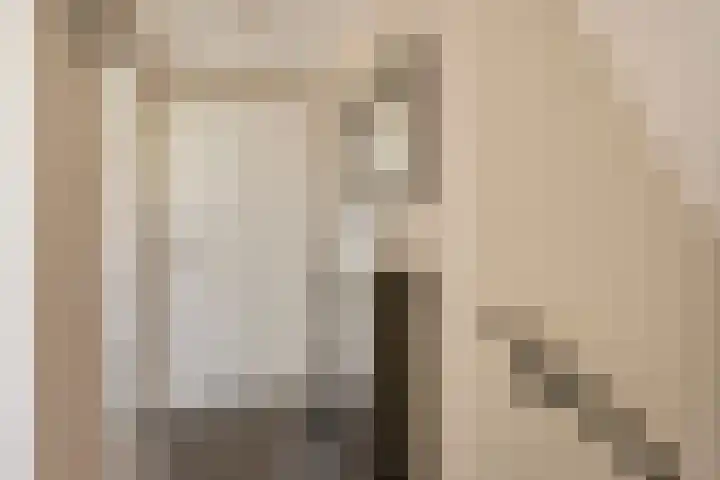 Roelantlaan 14 Eindhoven thumbnail 33