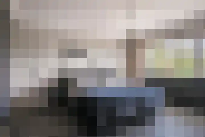 Roelantlaan 14 Eindhoven thumbnail 34