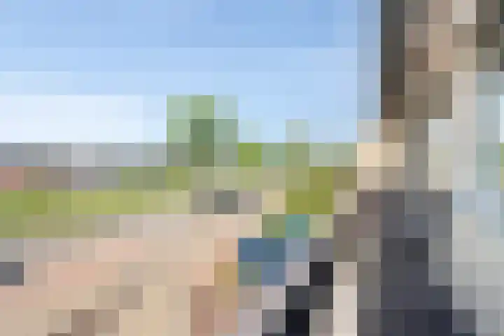 Roelantlaan 14 Eindhoven thumbnail 38