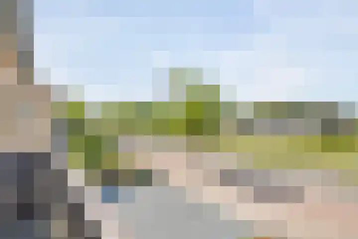 Roelantlaan 14 Eindhoven thumbnail 39