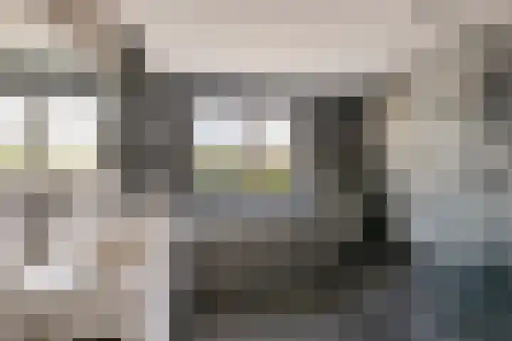 Roelantlaan 14 Eindhoven thumbnail 41